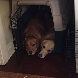 Meet your Posher, Katherine